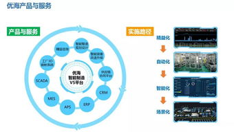 信息系统集成服务中APS实施的复杂性控制策略
